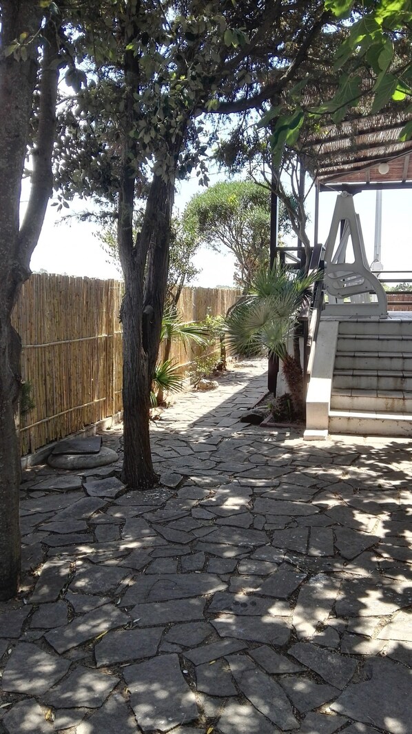 A stone pathway leading to a wooden fence, surrounded by trees and a pergola structure.