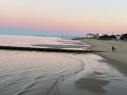 Walk to Beach! Spacious 4-bedroom house in charming Norfolk-this home has it ALL