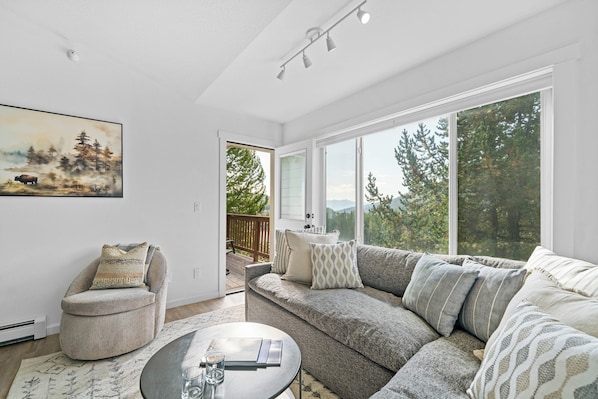 Smart TV, fireplace, books