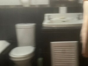 Hair dryer, towels, soap, toilet paper - Charming 2-bedroom house with fitness room and AC in lovely Johannesburg (Johannesburg)