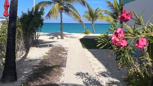 A pathway leading to a beach with palm trees and a building with a green stripe.