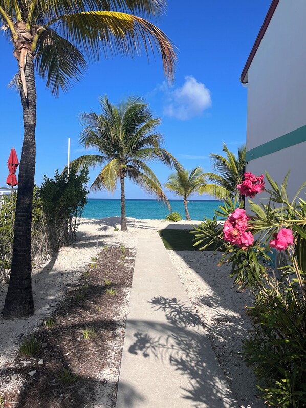 Un camino que lleva a una playa con palmeras y un edificio con una franja verde.