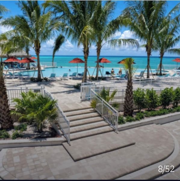 A resort pool area with palm trees, lounge chairs, and umbrellas.