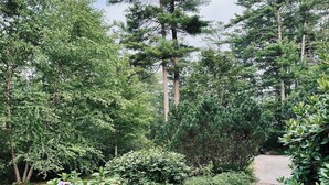 A paved pathway surrounded by dense greenery and tall trees. - Serene Waterfront Retreat on 2+ Acres with 360-degree Water Views & Private Dock (Center Harbor)