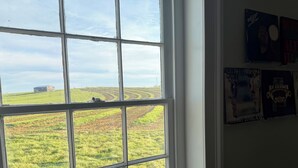 A room with a large window offering a view of a green field and a distant building. There are wall-mounted items including a framed picture and a poster. - Historic Farm Stay at The Hager Hideaway (Harrodsburg)
