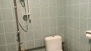 A bathroom with a toilet, a shower unit, and a handrail.