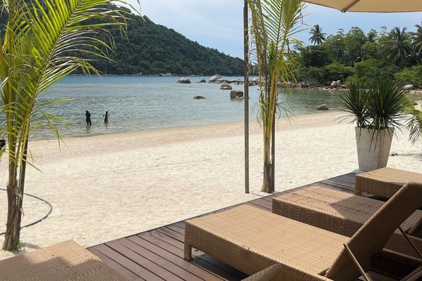 Pemandangan dari hartanah