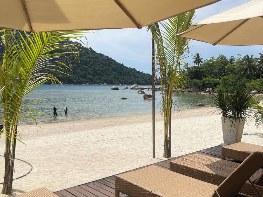 Utsikt från boendet