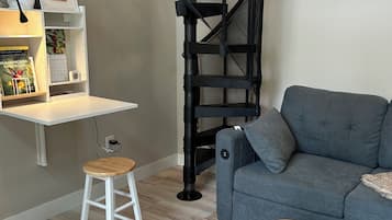 Smart TV, fireplace, books