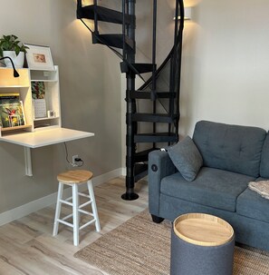 Smart TV, fireplace, books
