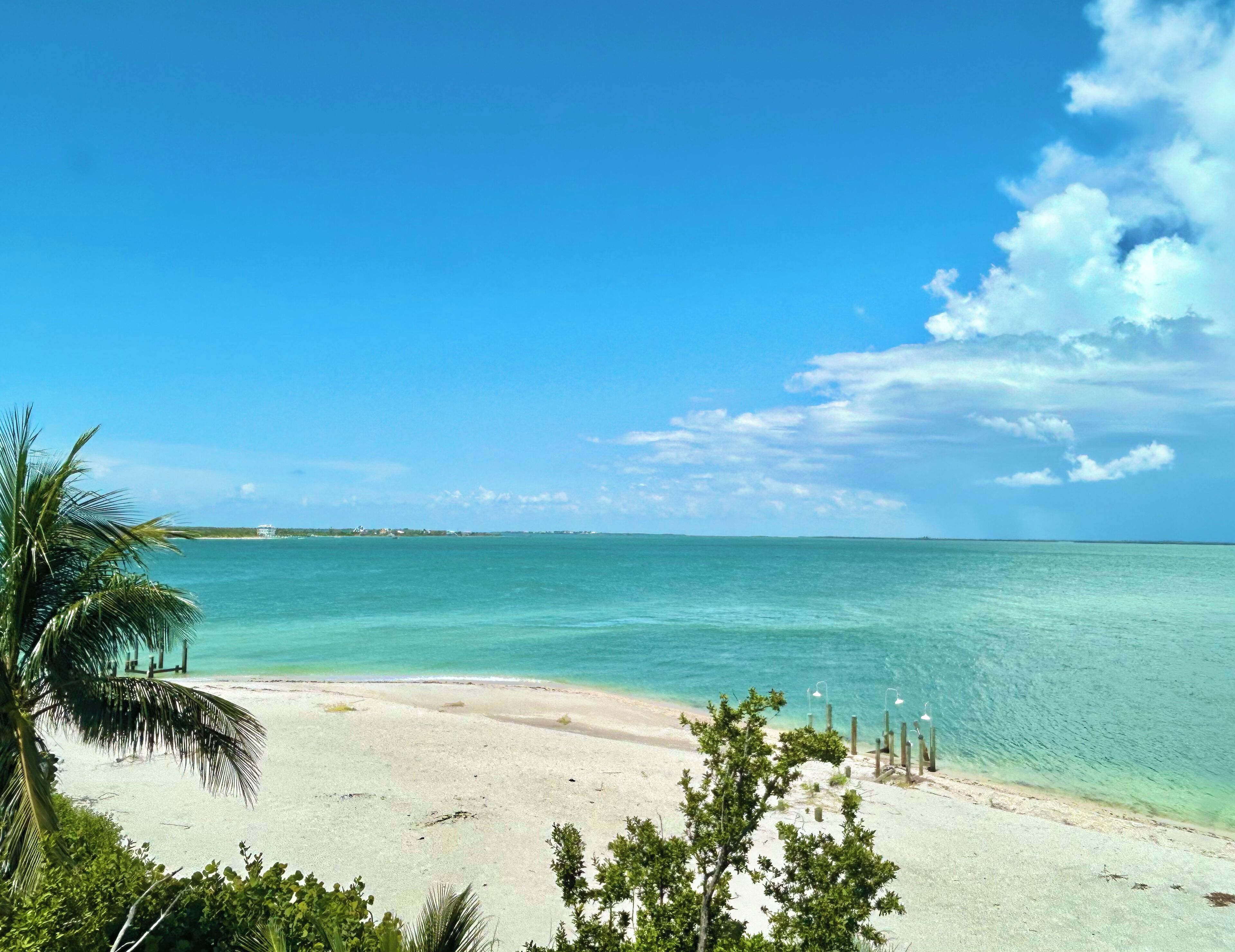 A beach with clear turquoise water, a sandy shore, and a few trees.
