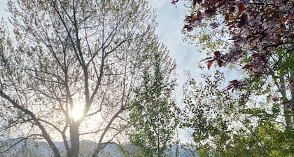 Charming 3-bedroom private basement suite in Layton with everything you'll need.