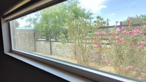 A window with a view of a stone wall, a wooden fence, and flowering plants. - 3-bdm home, sunny El Paso near shops, medical, schools, restaurants, & more (El Paso)