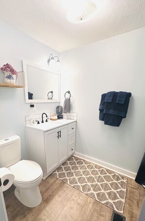 A bathroom with a white sink, a mirror, a towel rack, a toilet, and a patterned rug. - Cici's Guest House Top rated stay in Laurel (Laurel)