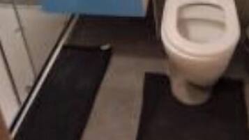 Håndklæder, Toiletpapir