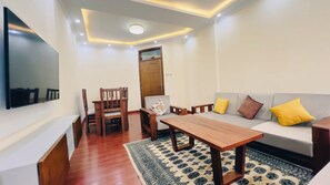 TV - Modern cozy Furnished 1- bedroom Apartment for rent (Addis Ababa)