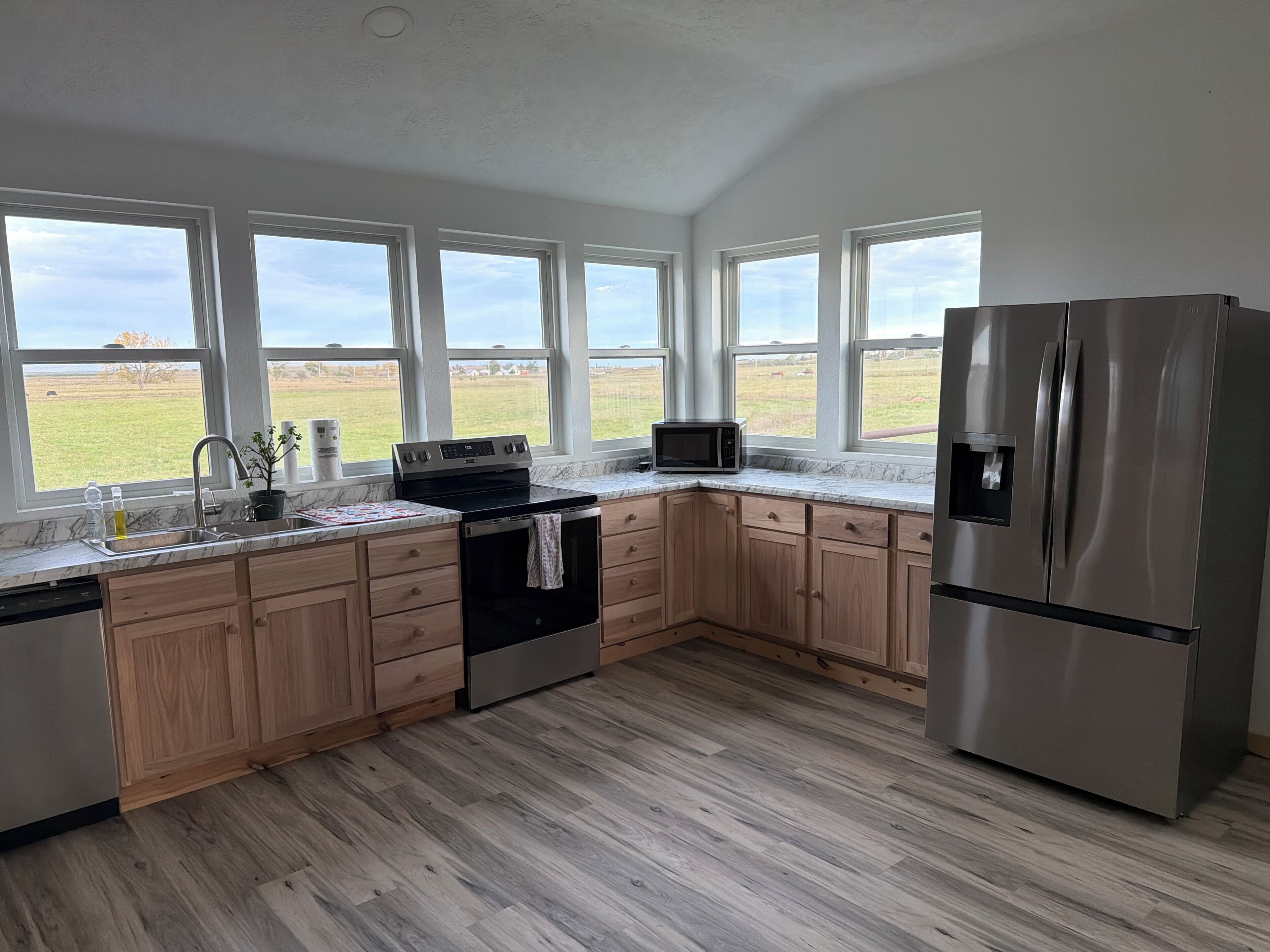 Microwave, oven, stovetop, dishwasher