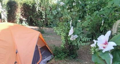 Camping chez l'habitant proche Disneyland Paris