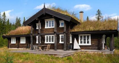 Fagerasen 811 by Vacation Trysil (Families only)