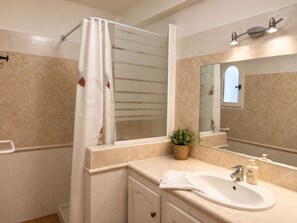 A bathroom with a shower, a sink, a mirror, and a potted plant.