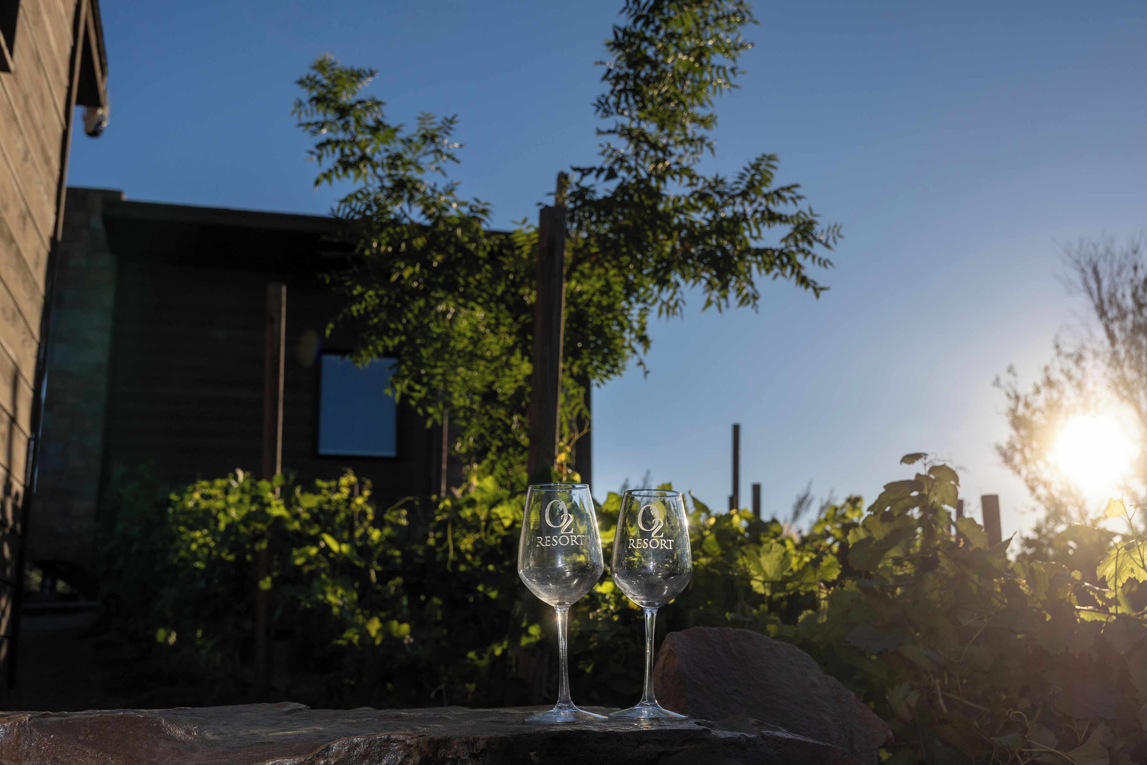 Deux verres à vin vides sont posés sur une corniche en pierre, avec un bâtiment en bois et de la verdure en arrière-plan.