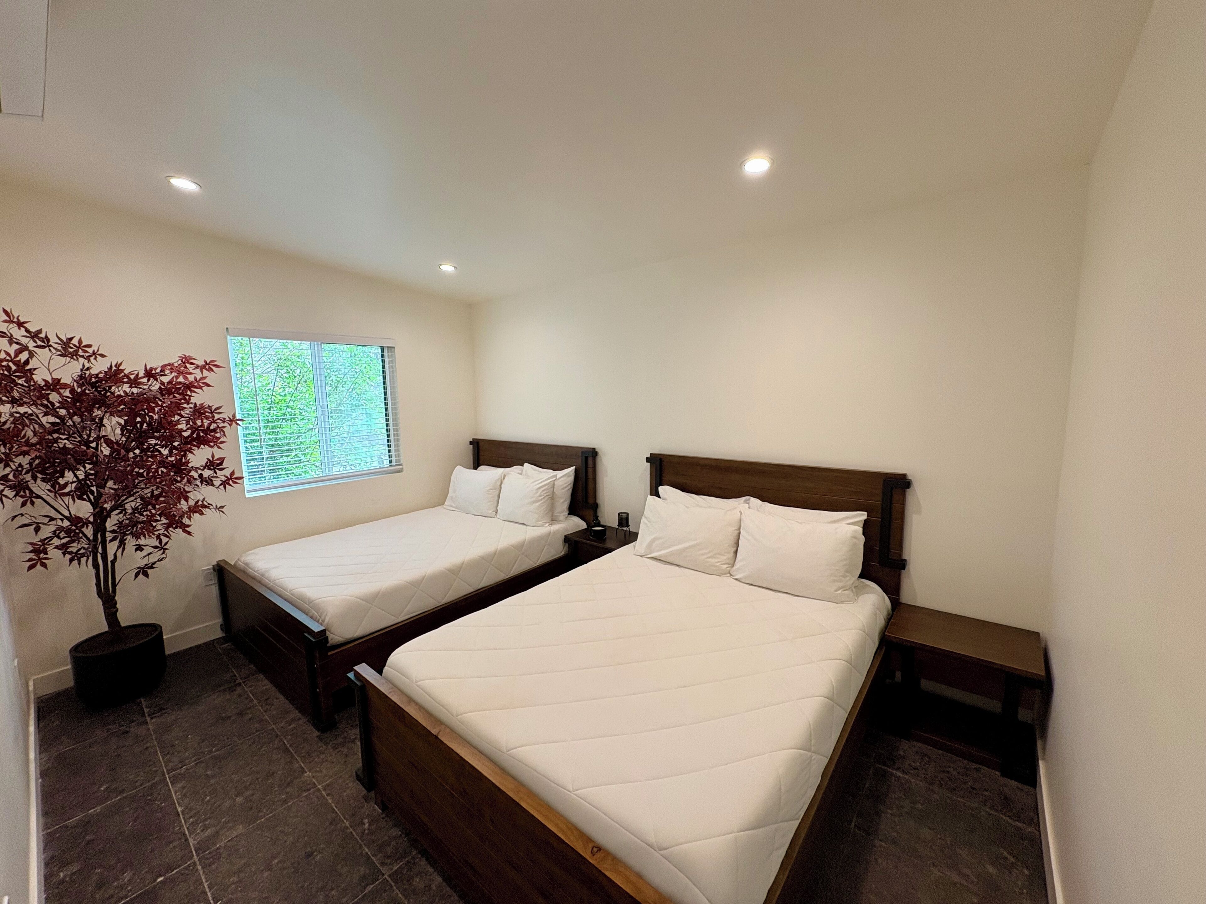 A bedroom with two single beds, a potted plant, and a window with blinds.