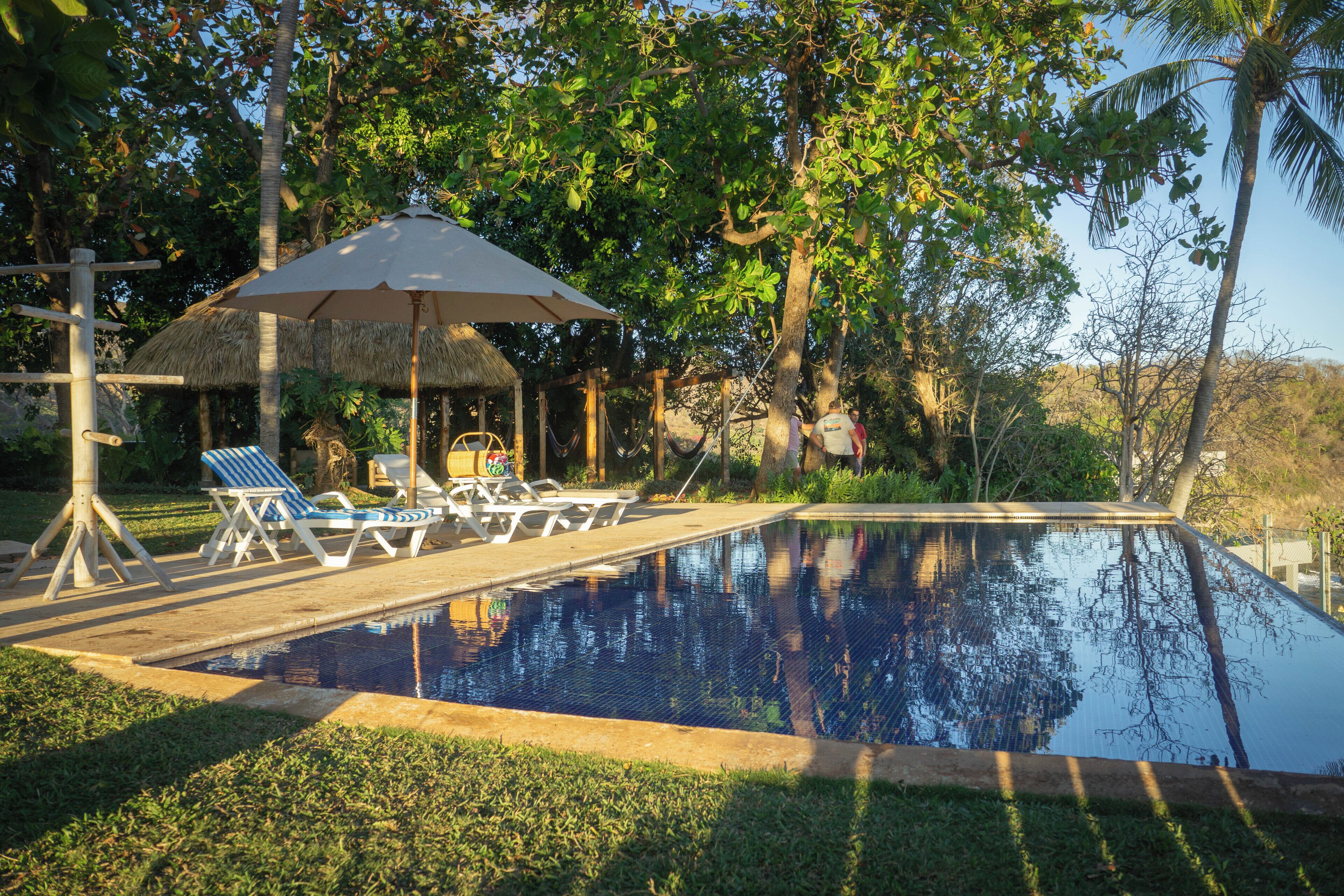 A swimming pool with lounge chairs and umbrellas, surrounded by trees and a thatched-roof structure.