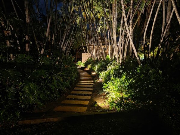 Un sendero nocturno bordeado por altas palmeras que conduce a un edificio.