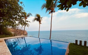 Una piscina infinita con vista al océano, rodeada de palmeras y follaje.