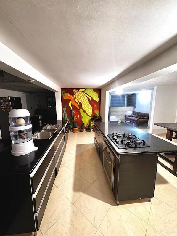 Fridge, microwave, oven, blender