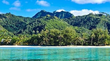 Playa privada, arena blanca, tumbonas y toallas de playa