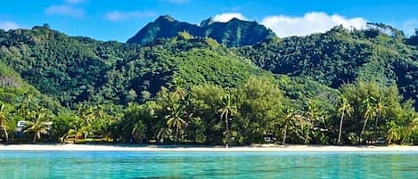 Privat strand, vit sandstrand, solstolar och strandhanddukar