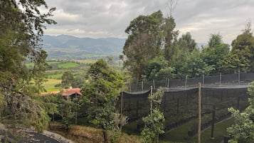 Imagen general