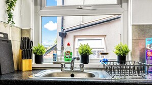 Una cucina con un lavello in acciaio inossidabile, una finestra vista esterna e diverse piante in vaso.