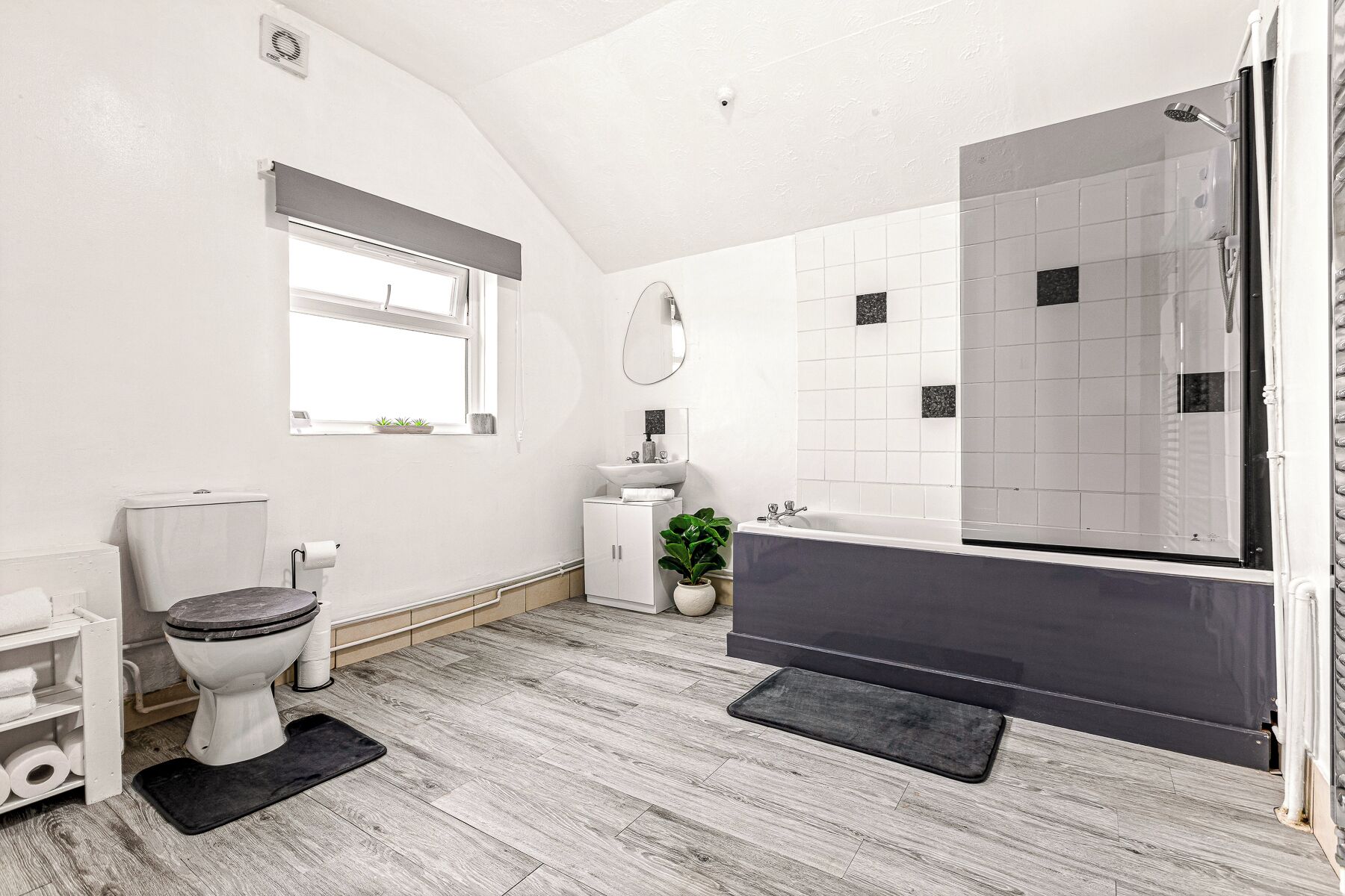 Hair dryer, towels, toilet paper