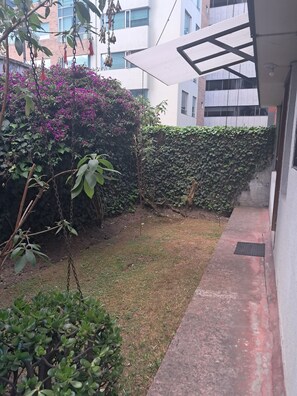 Área da propriedade