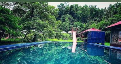 Hermitage Guest House