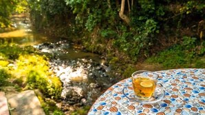 Eine Tasse Tee auf einem Tisch mit Mosaikmuster, mit Blick auf einen Bach und Grünflächen.