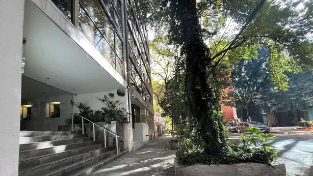 A modern building with a staircase leading to an entrance, surrounded by greenery and a paved pathway. - Close to the best places in Polanco (Ciudad de México)