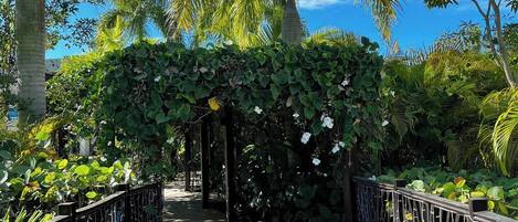 Terrein van de accommodatie