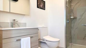 A modern bathroom with a toilet, a shower enclosure, and a vanity with a sink and mirror.