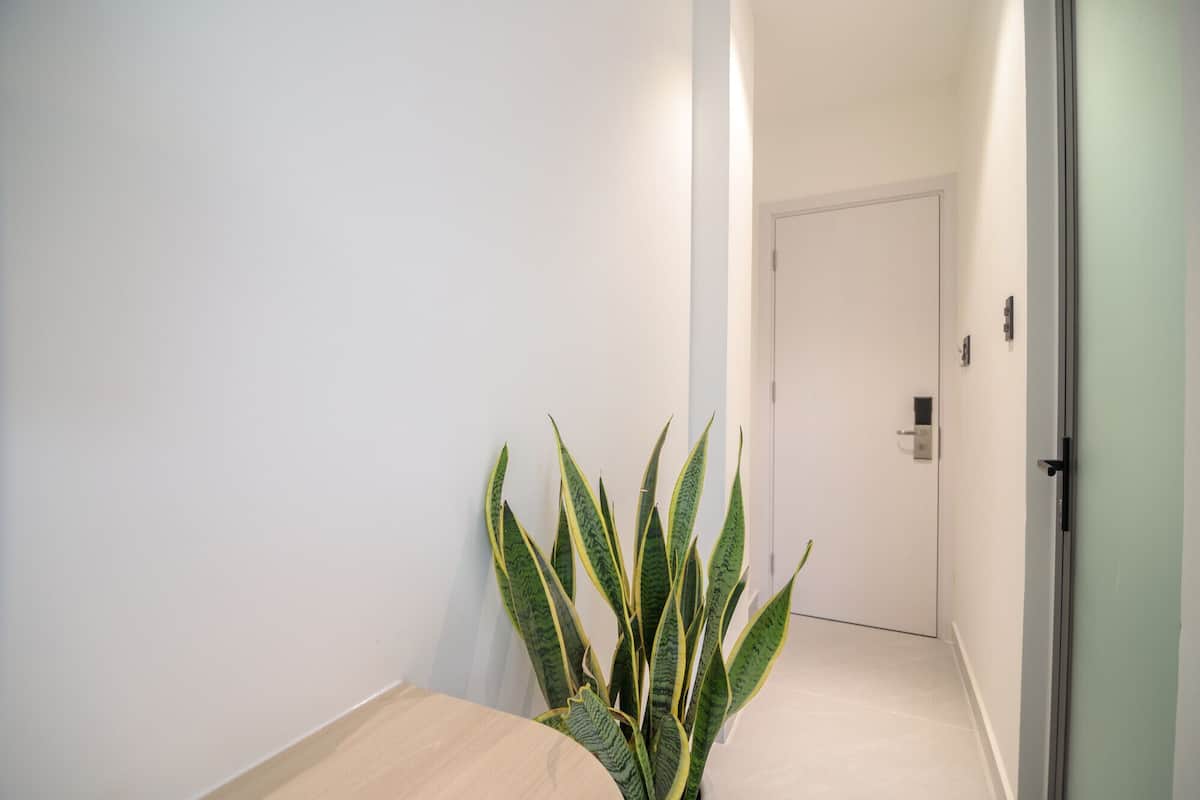 Deluxe Double Room Single Use | Desk, free WiFi