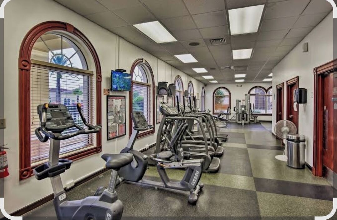 A gym with treadmills, elliptical machines, and exercise bikes arranged in rows.