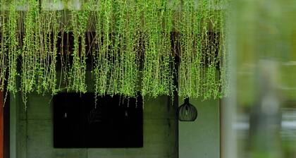 PALM VILLA - Mini Golf