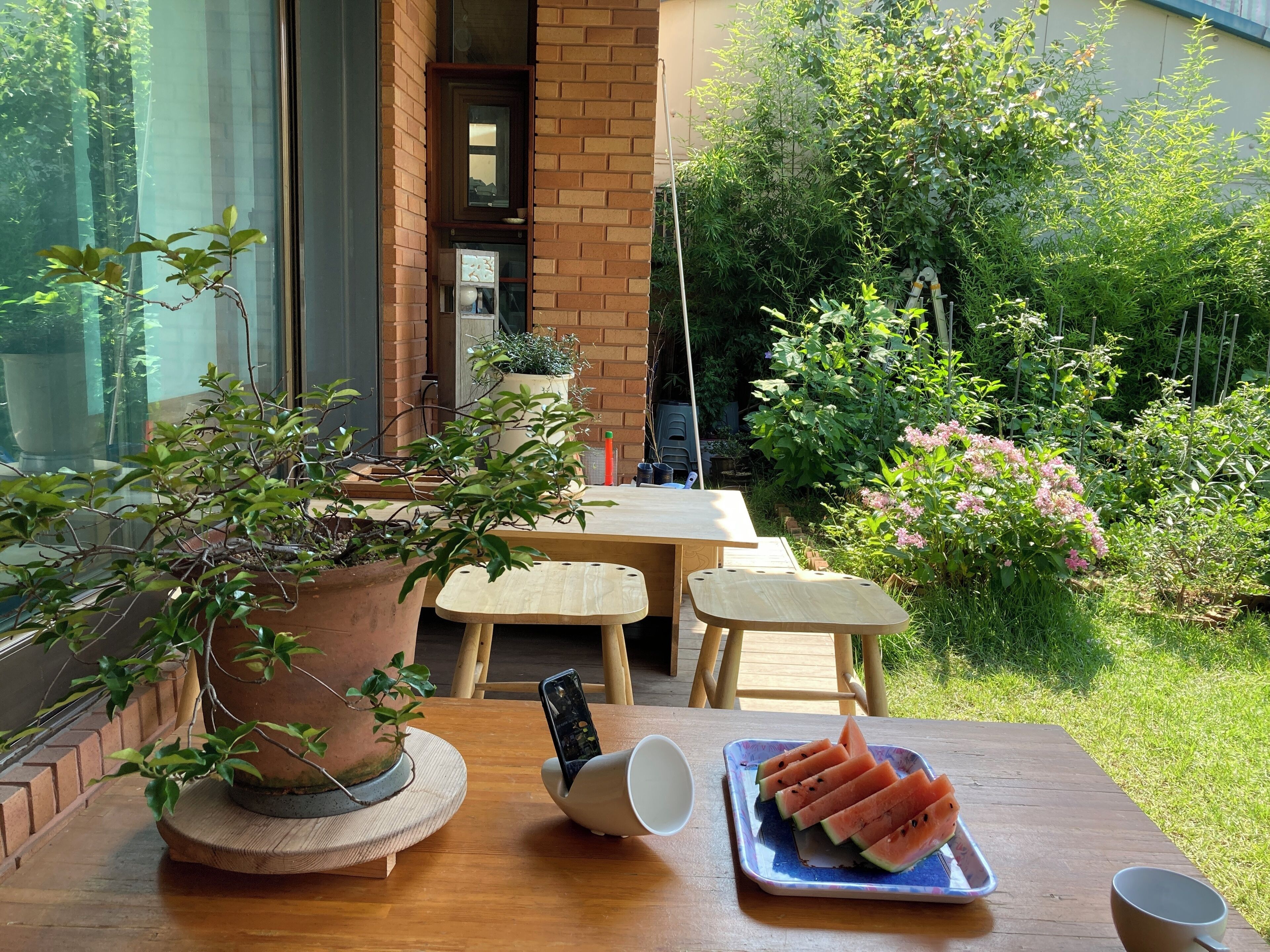 Terassi/patio