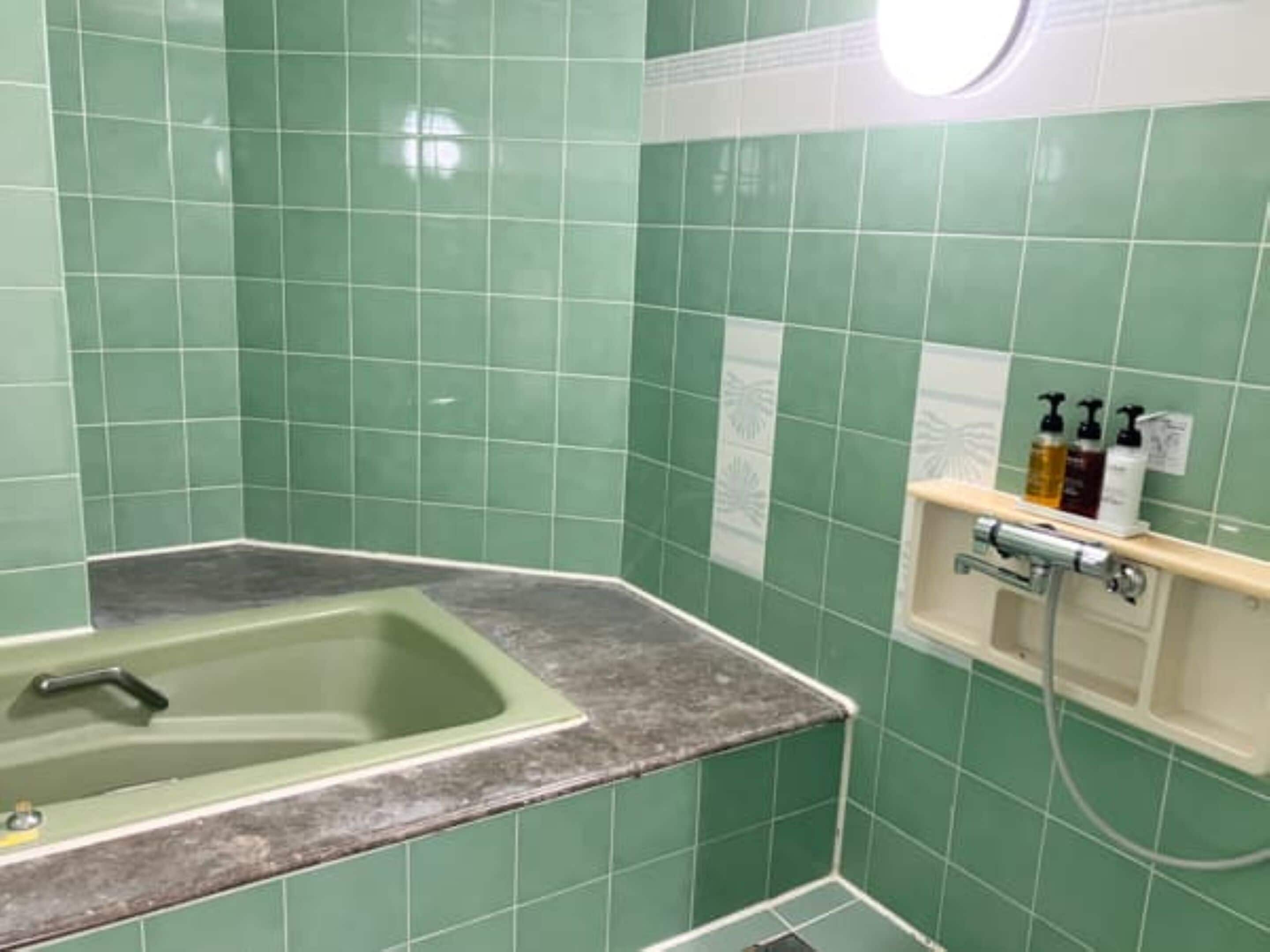 Combined shower/tub, hair dryer, towels, shampoo