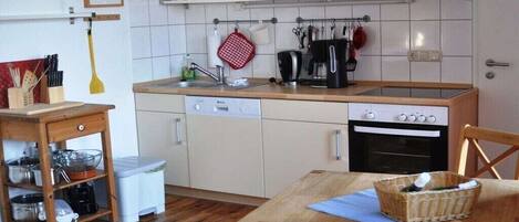 Fridge, oven, stovetop, dishwasher