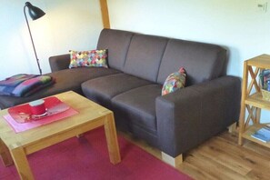 Fernseher, Kamin, DVD-Player