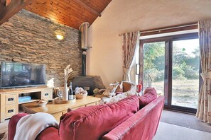 Smart-TV, Arbeitsbereiche