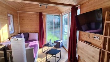 Smart TV, chimenea, reproductor de DVD